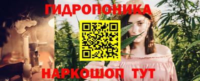сатива Берёзовский