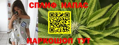 сатива Берёзовский