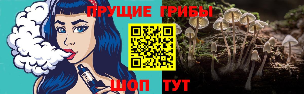 Галлюциногенные грибы MAGIC MUSHROOMS Гусиноозёрск