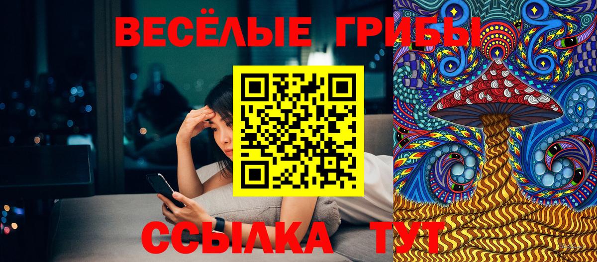 Галлюциногенные грибы Psilocybine cubensis  Вход с VPN  Гусиноозёрск  Псилоцибиновые грибы Cubensis 